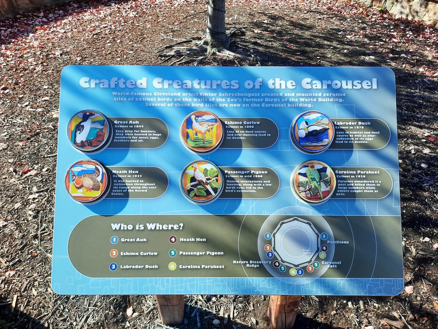 Extinct Bird Tiles Display