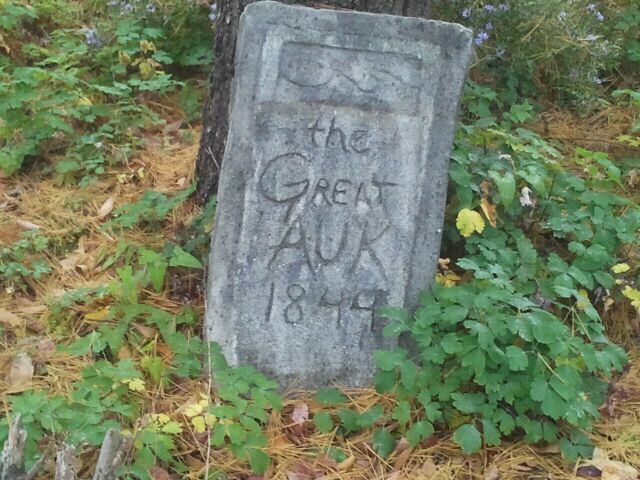 Extinct Graveyard-Great Auk Tombstone