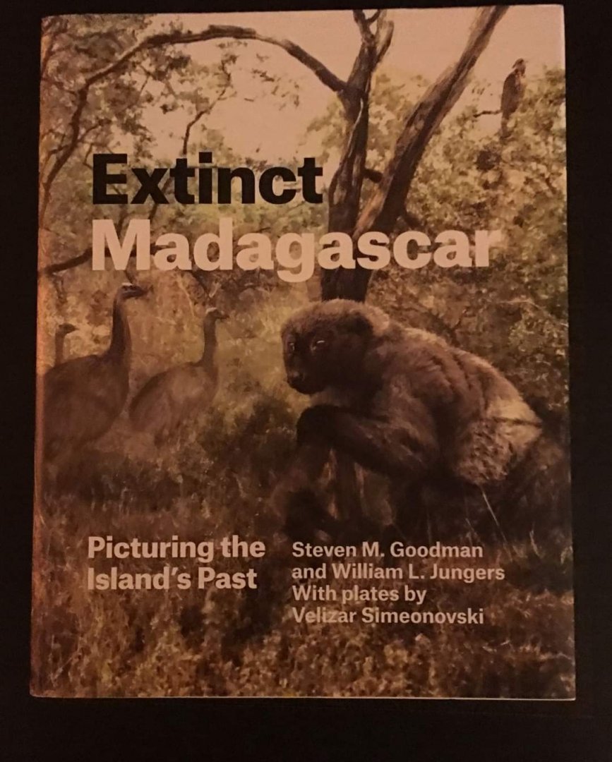 Extinct Madagascar: Picturing the Island's Past