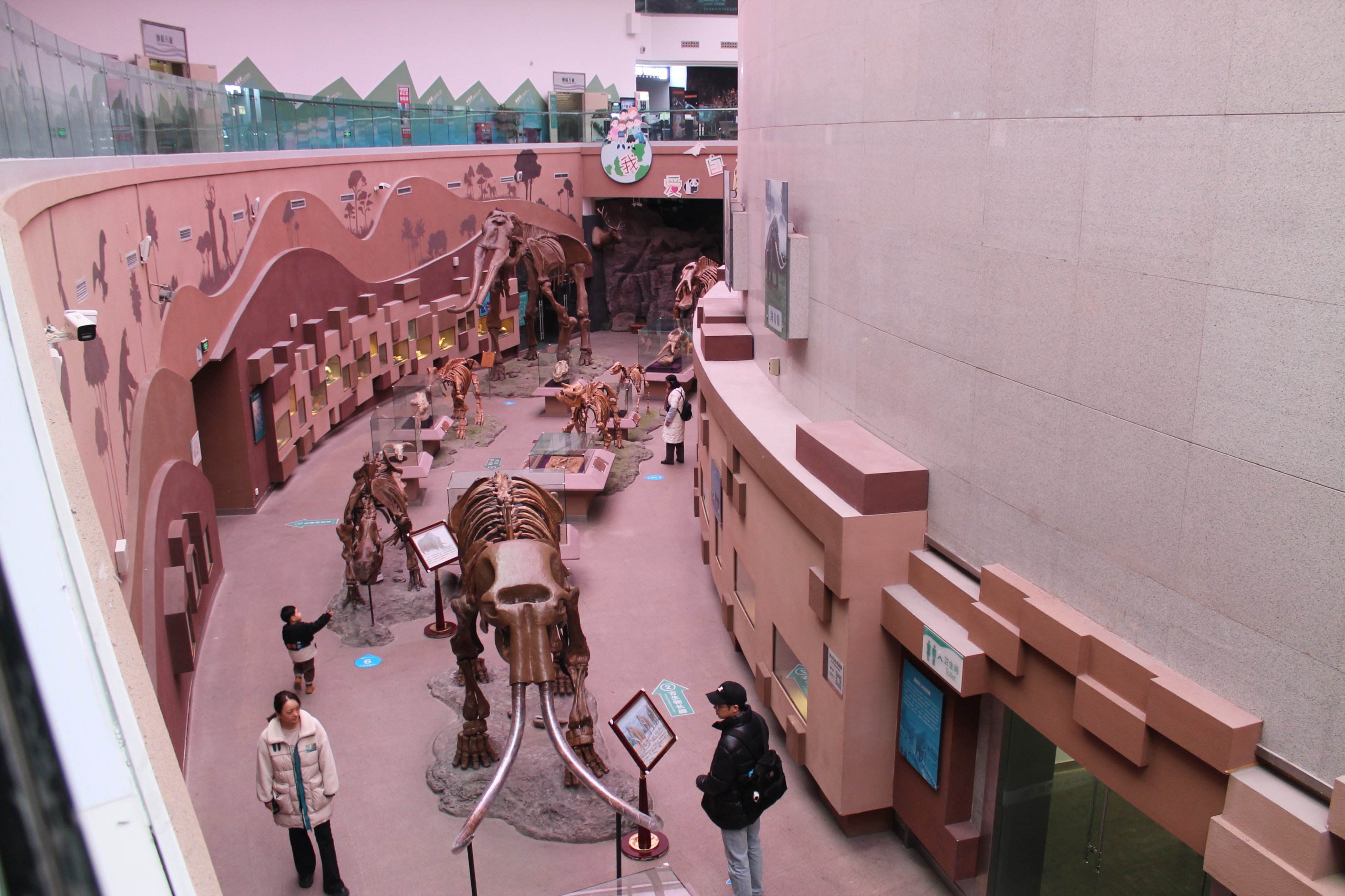 Extinct Mammals - Shaanxi Nature Museum