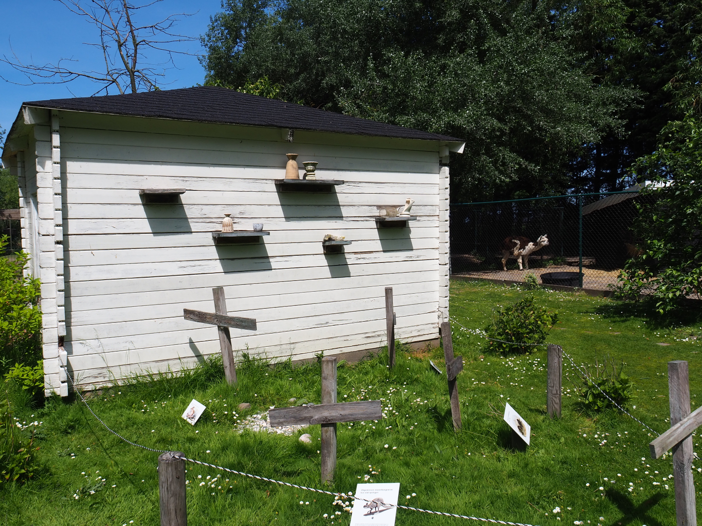 Extinct marsupials graveyard, 2019-06-01