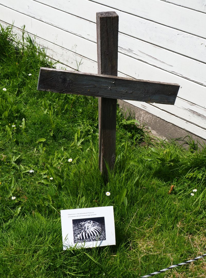 Extinct marsupials graveyard - Memorial thylacine, 2019-06-01