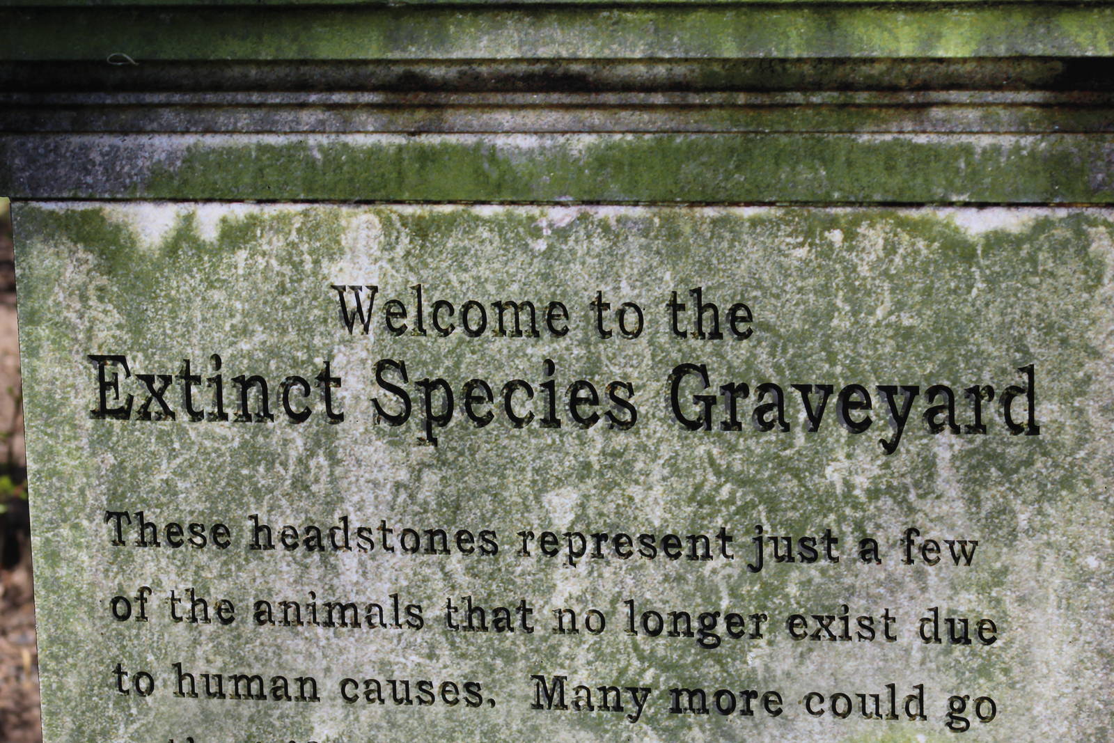 Extinct Species Graveyard