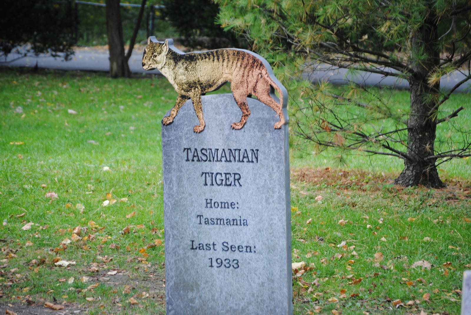Extinction Cemetery: Thylacine