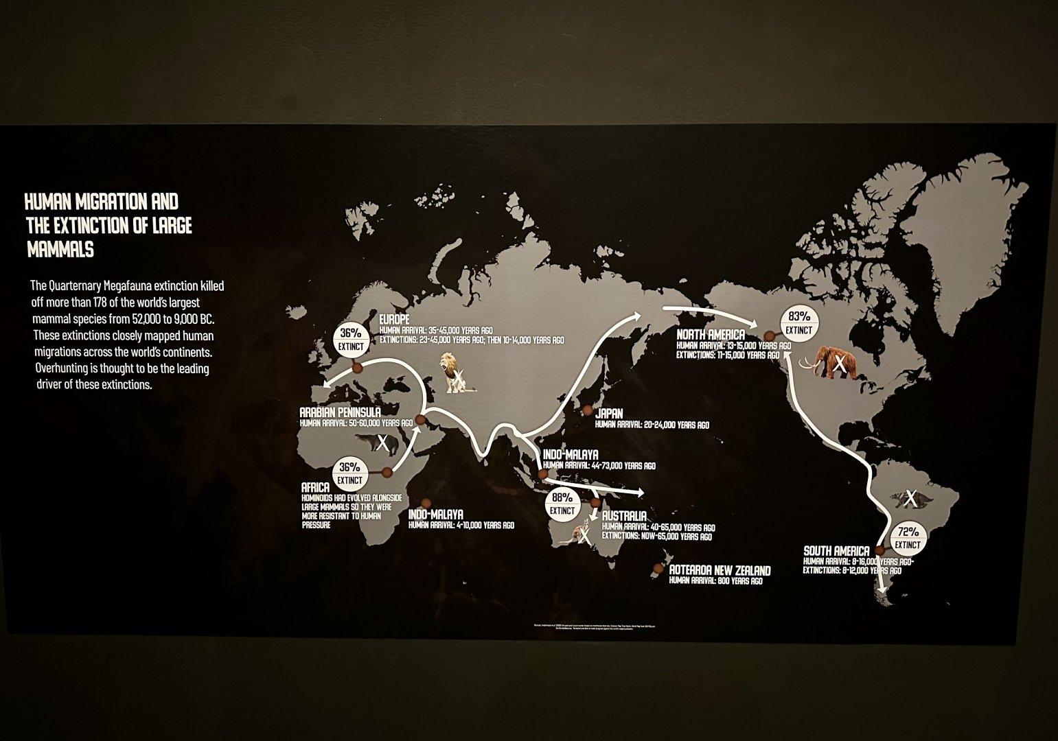 Extinction of Large Mammals Map