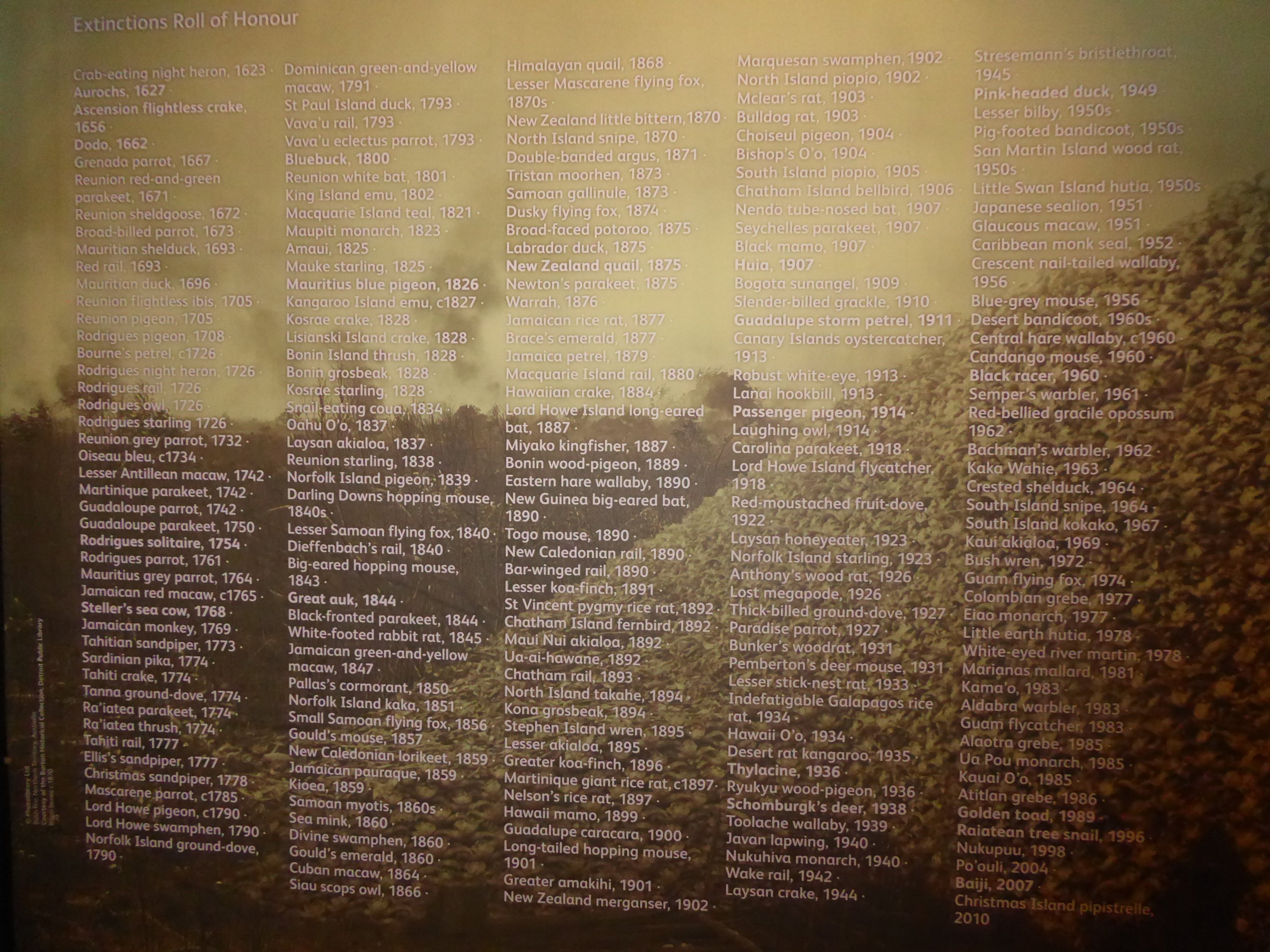 Extinction Wall at National Museum of Scotland, Edinburgh