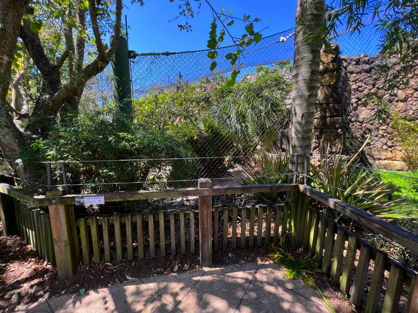 Extra Barriers Added In Front Of Jaguar Exhibit