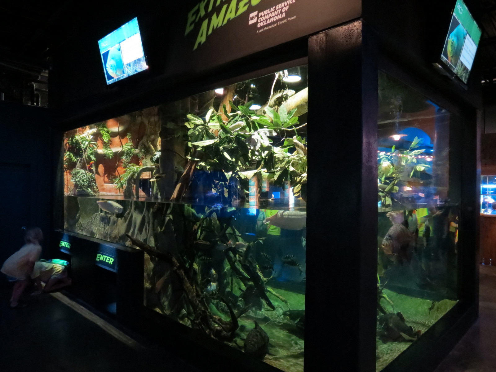 Extreme Fishes - Extreme Amazon Exhibit