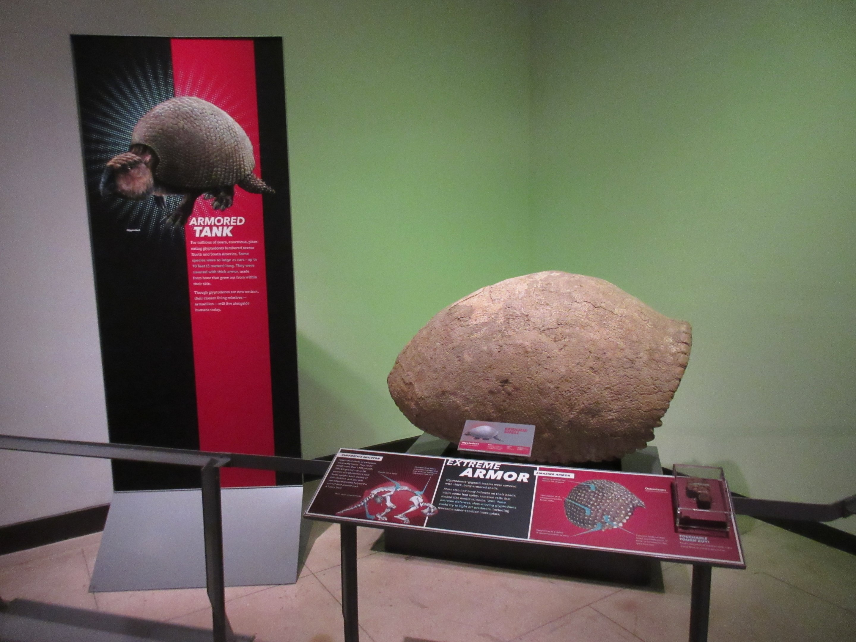 Extreme Mammals - Glyptodont