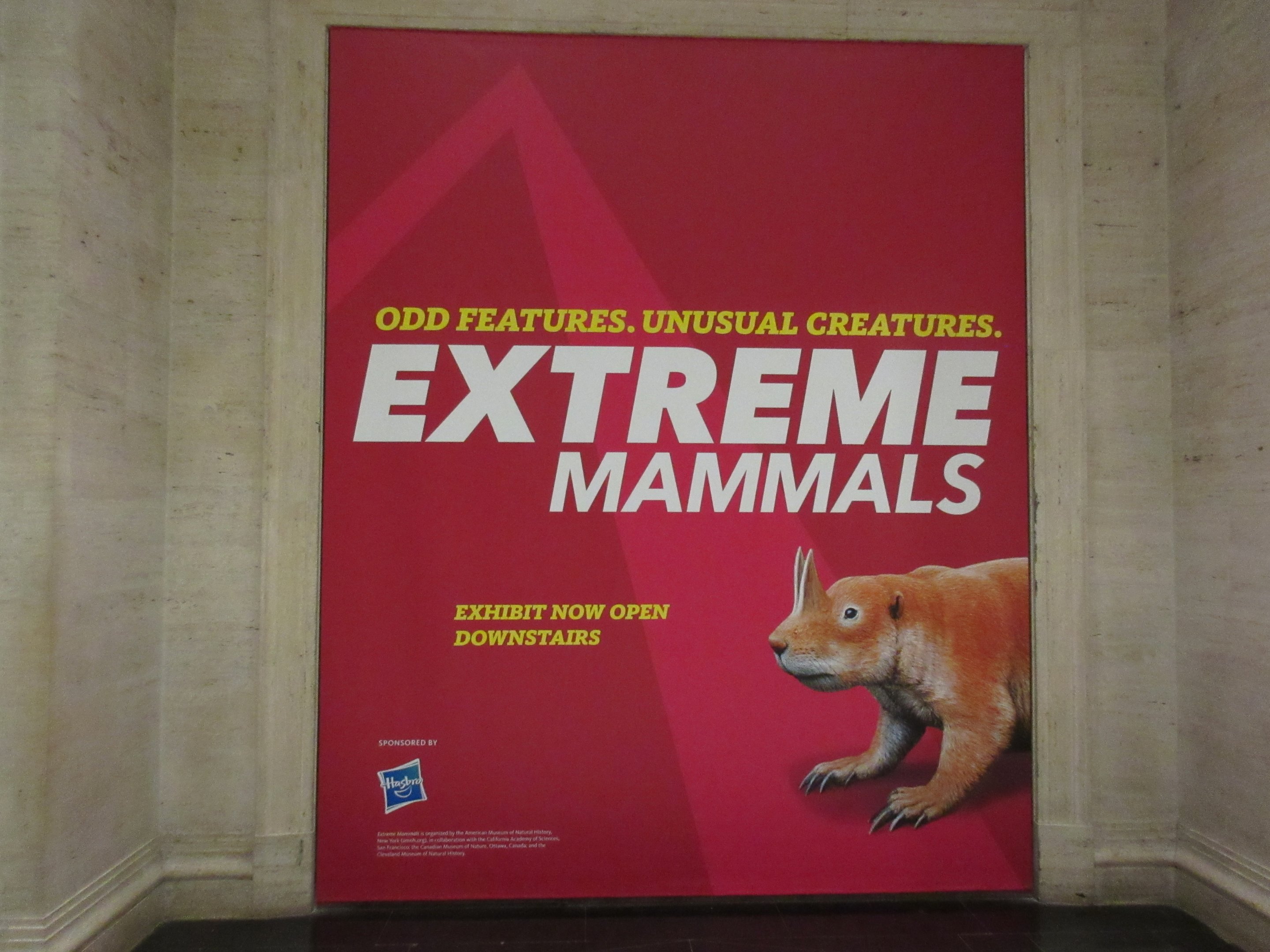 Extreme Mammals - Huge Poster