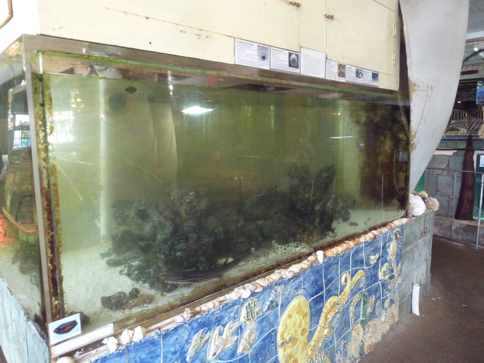 Extremely Dirty Tank