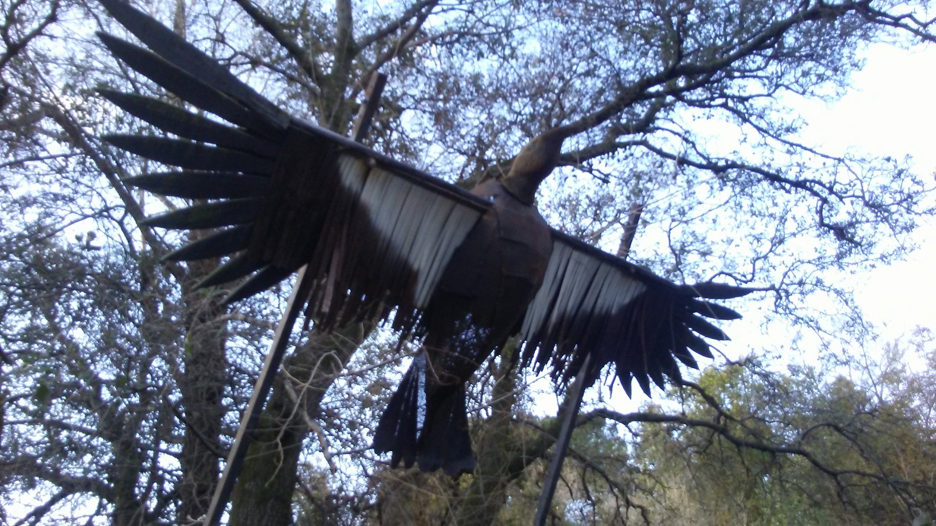 Extremely realistic California condor