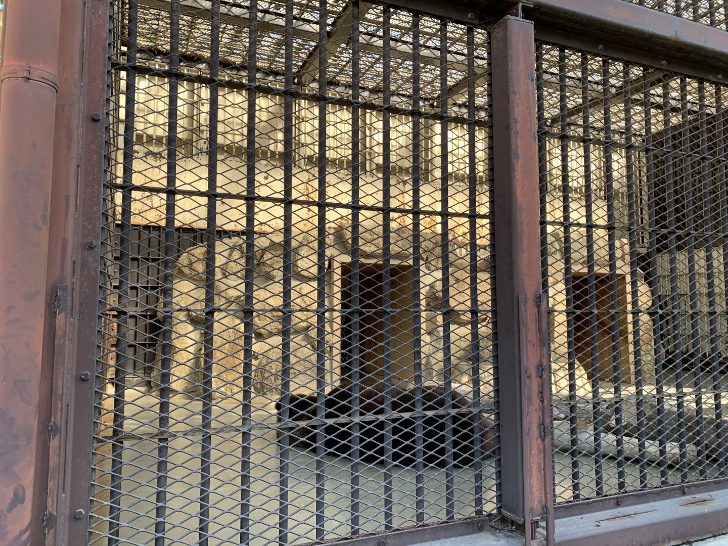 Ezo Brown Bear Enclosure (Himeji City Zoo)