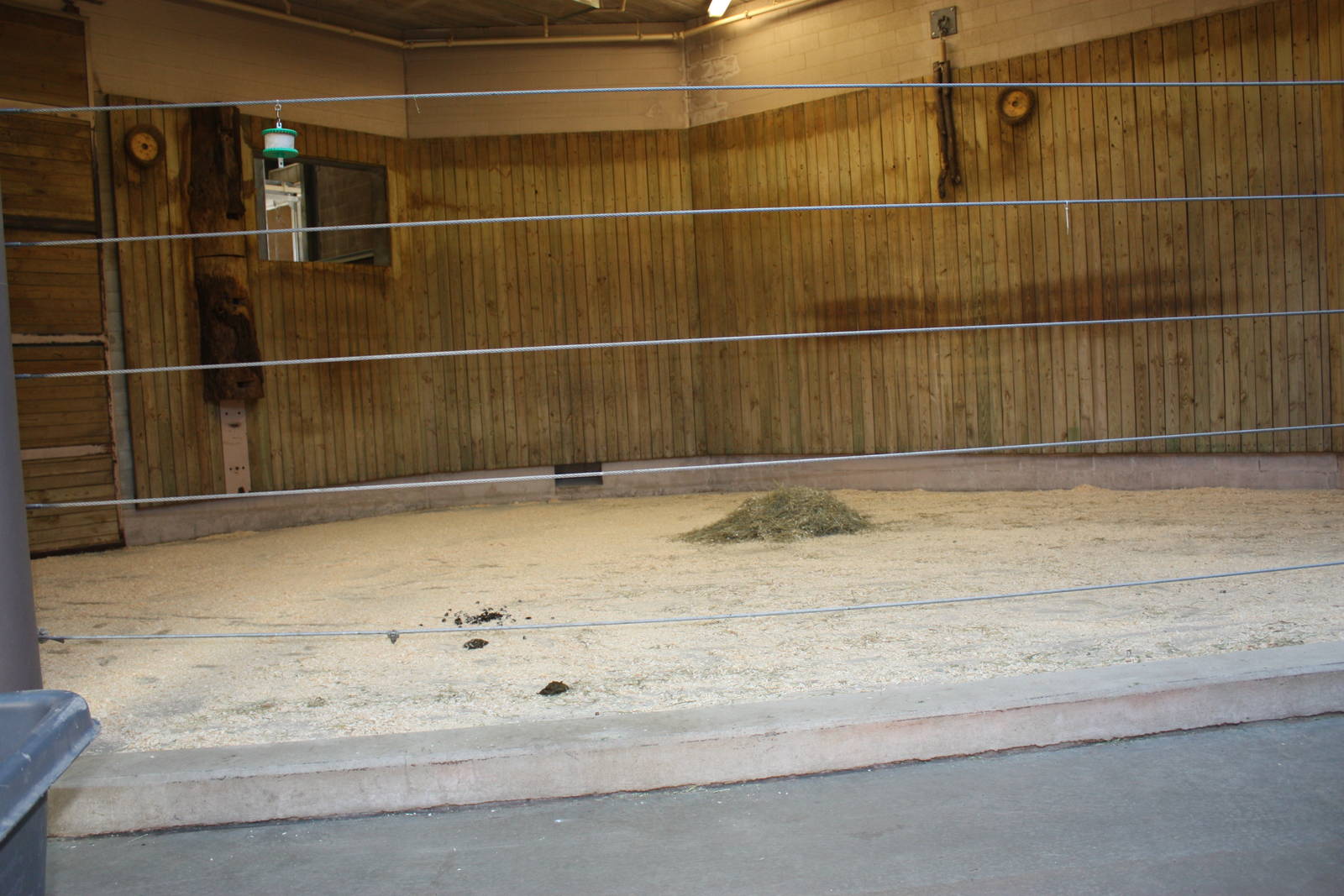 Fabric of Africa- African Elephant Indoor Exhibit
