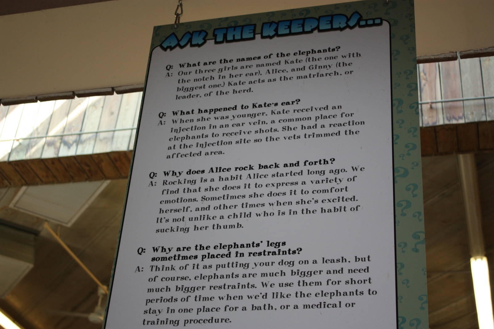 Fabric of Africa- African Elephant Insiders