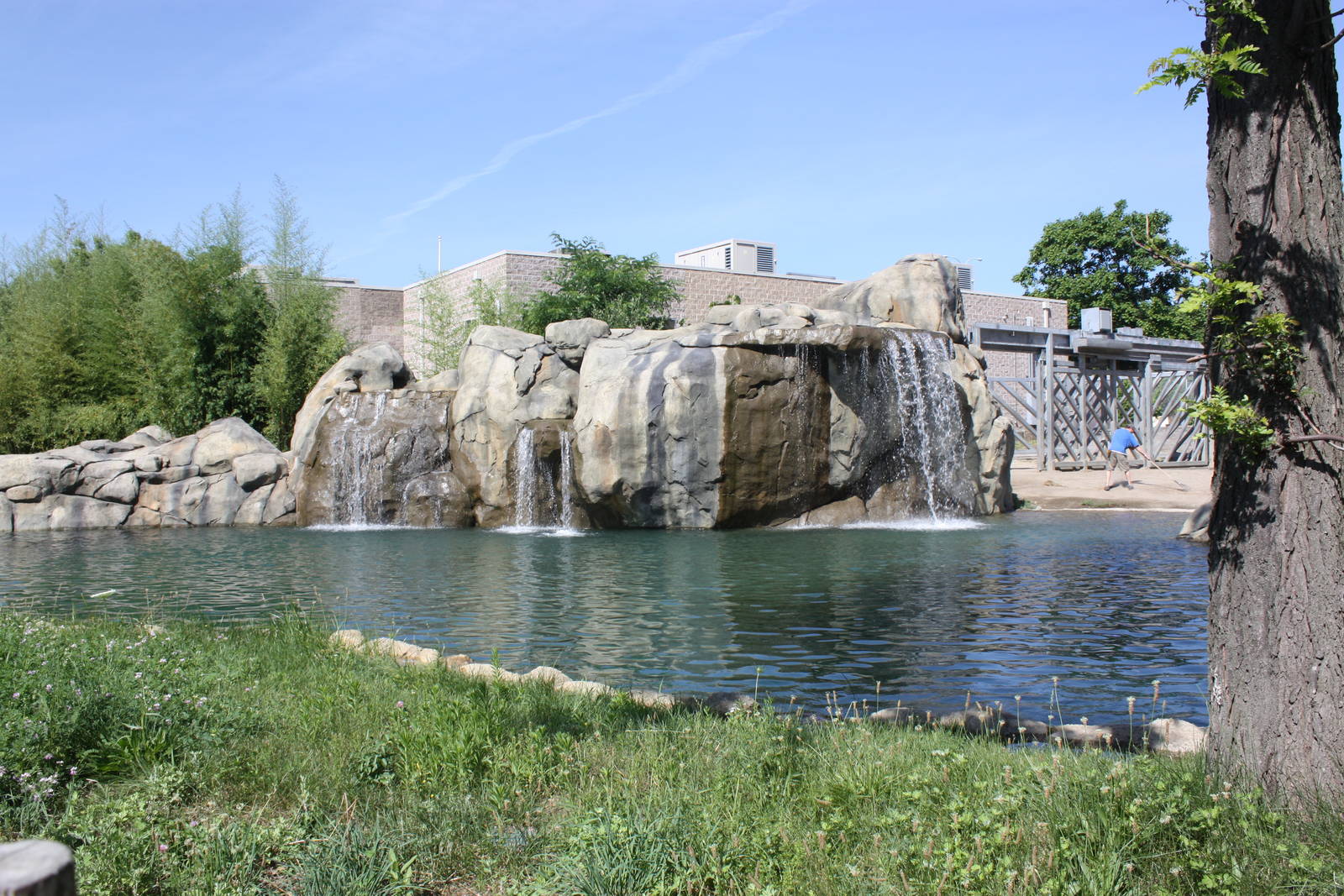 Fabric of Africa- African Elephant Pool