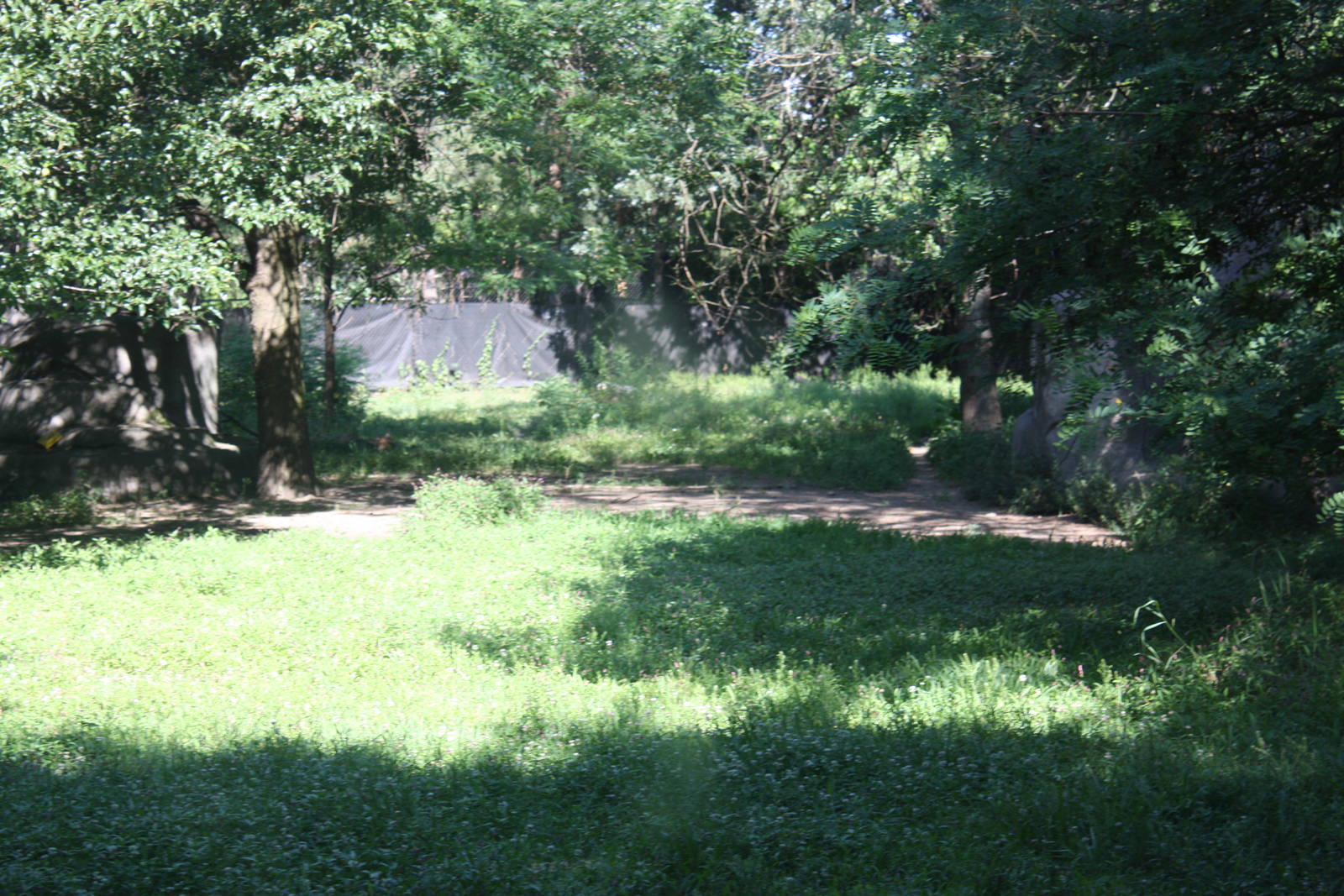 Fabric of Africa- African Wild Dog Exhibit