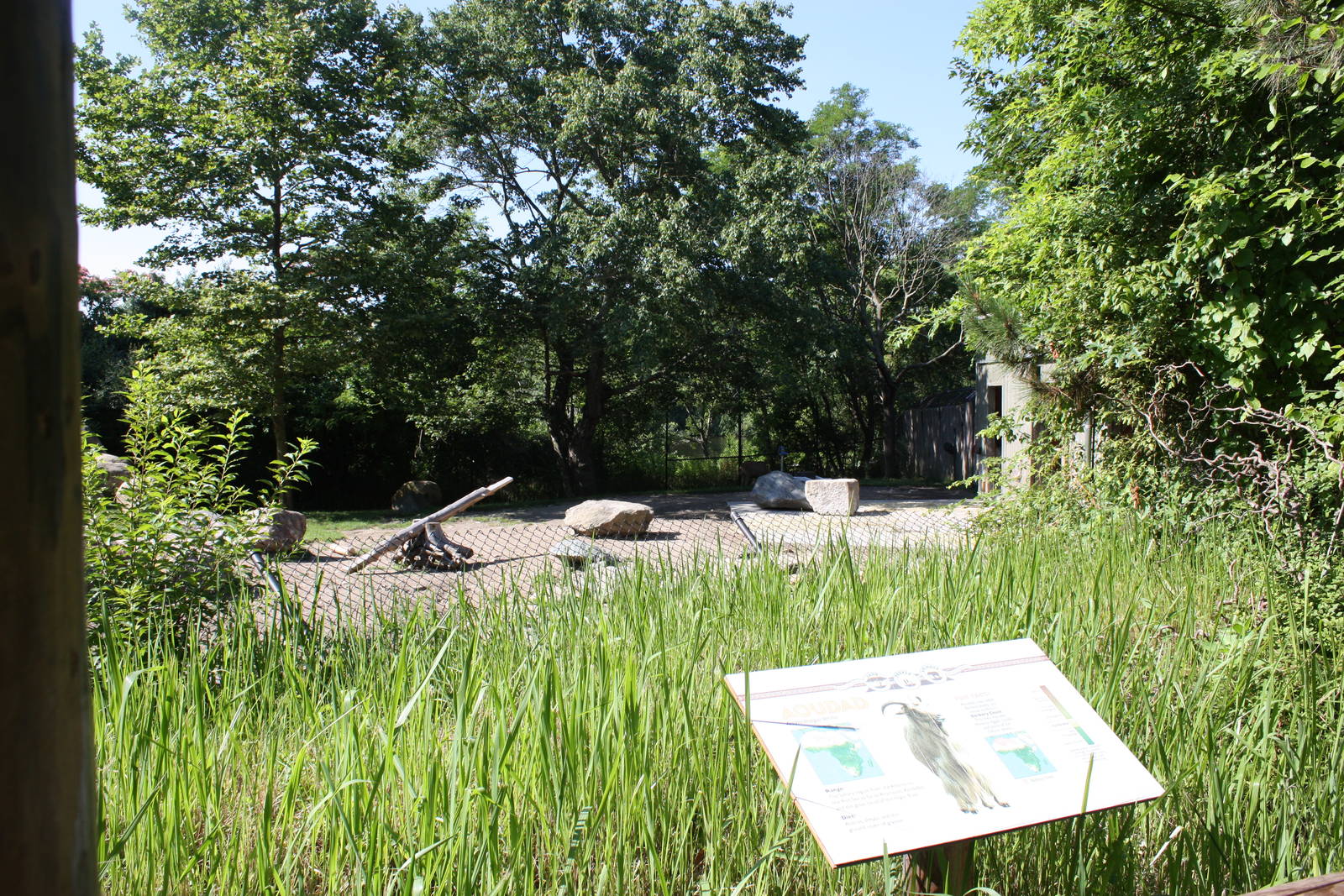 Fabric of Africa- Aoudad Exhibit