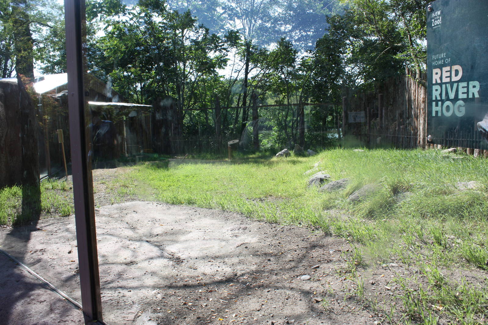 Fabric of Africa- Future Red River Hog Exhibit