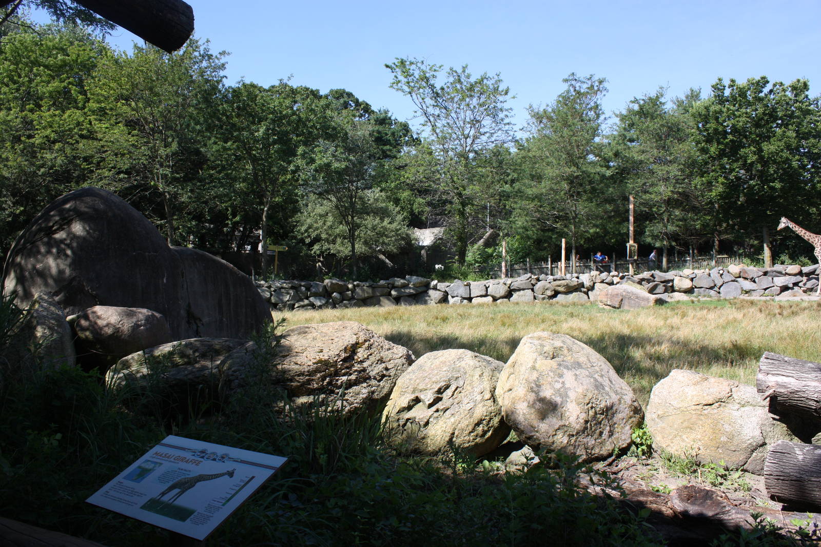 Fabric of Africa- Masai Giraffe Exhibit