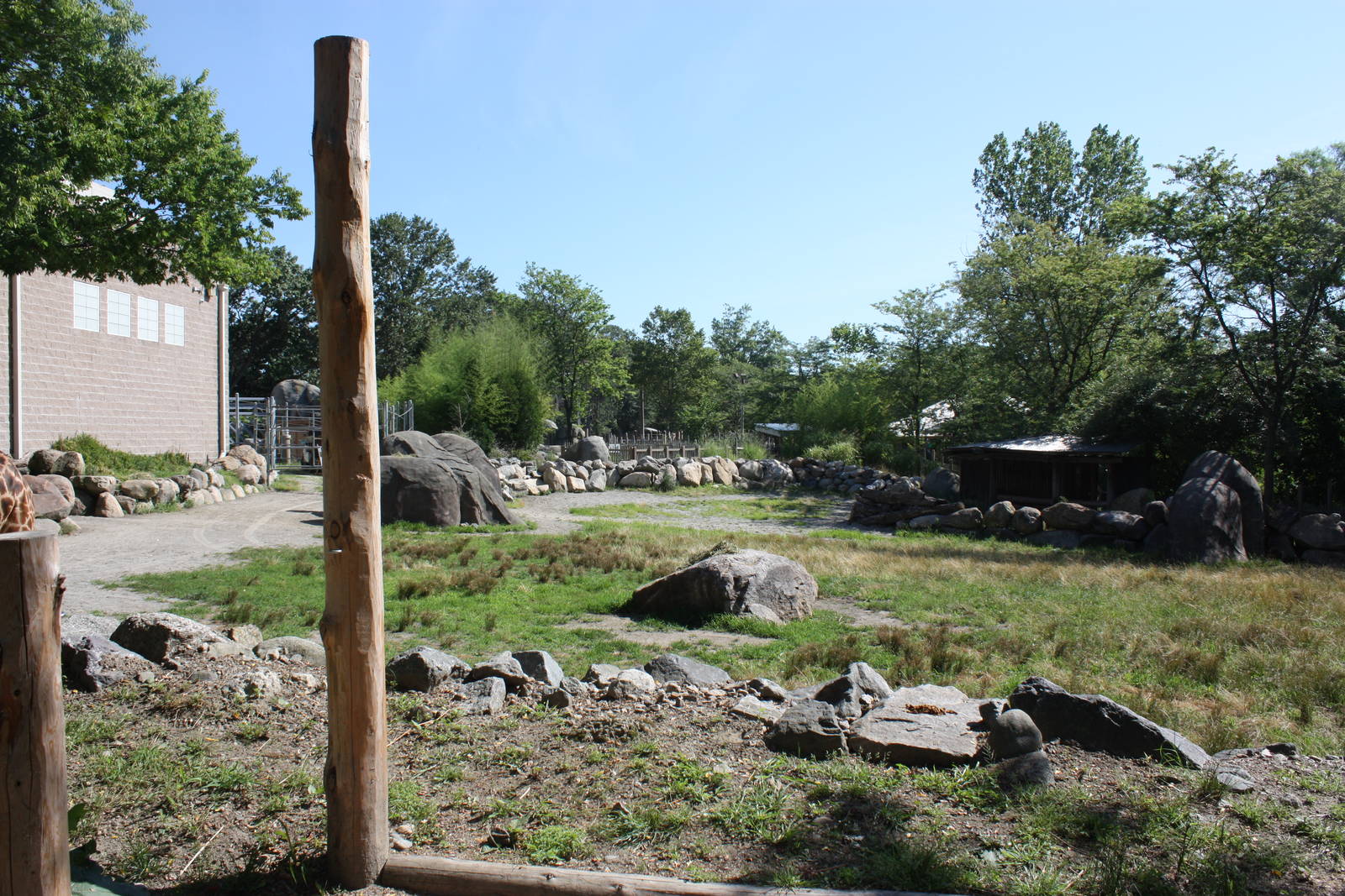 Fabric of Africa- Masai Giraffe Exhibit
