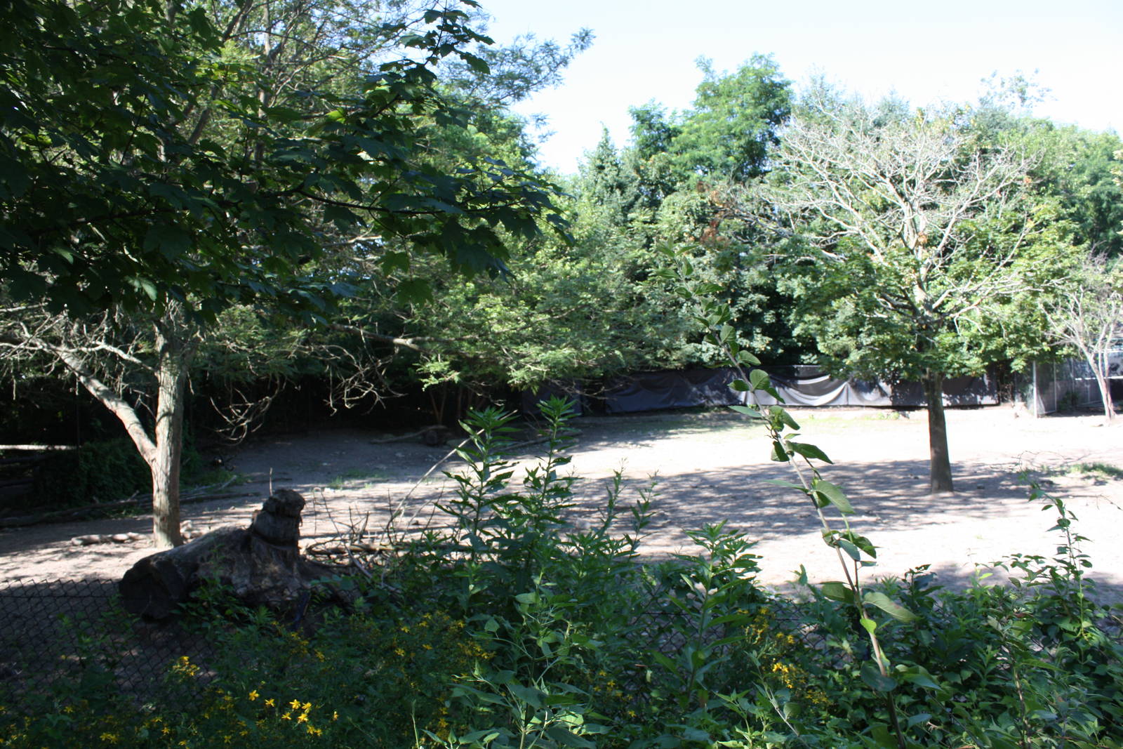 Fabric of Africa- Wildebeest/Zebra Exhibit