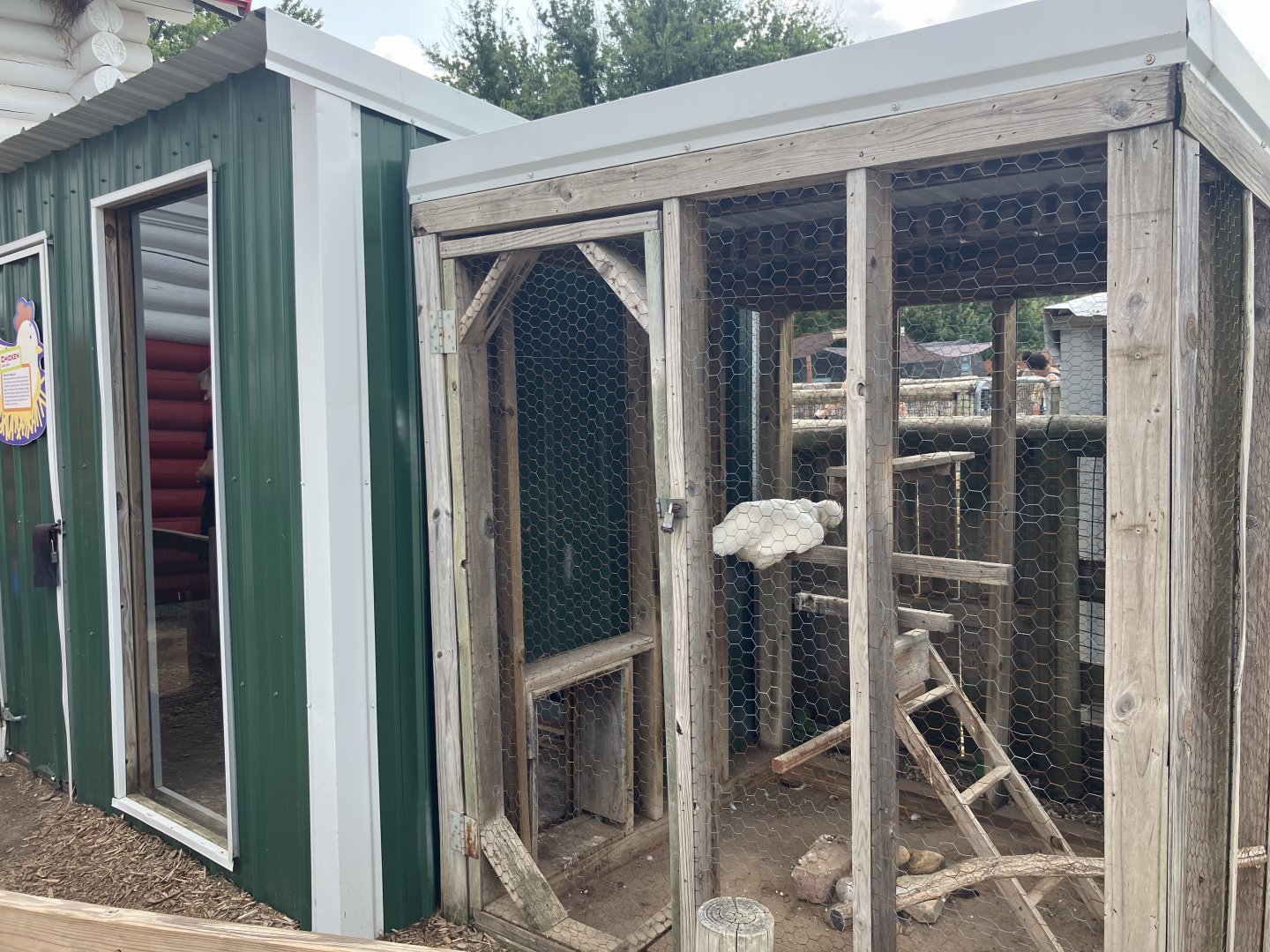 Face-to-Face Farm - Domestic Chicken Exhibit