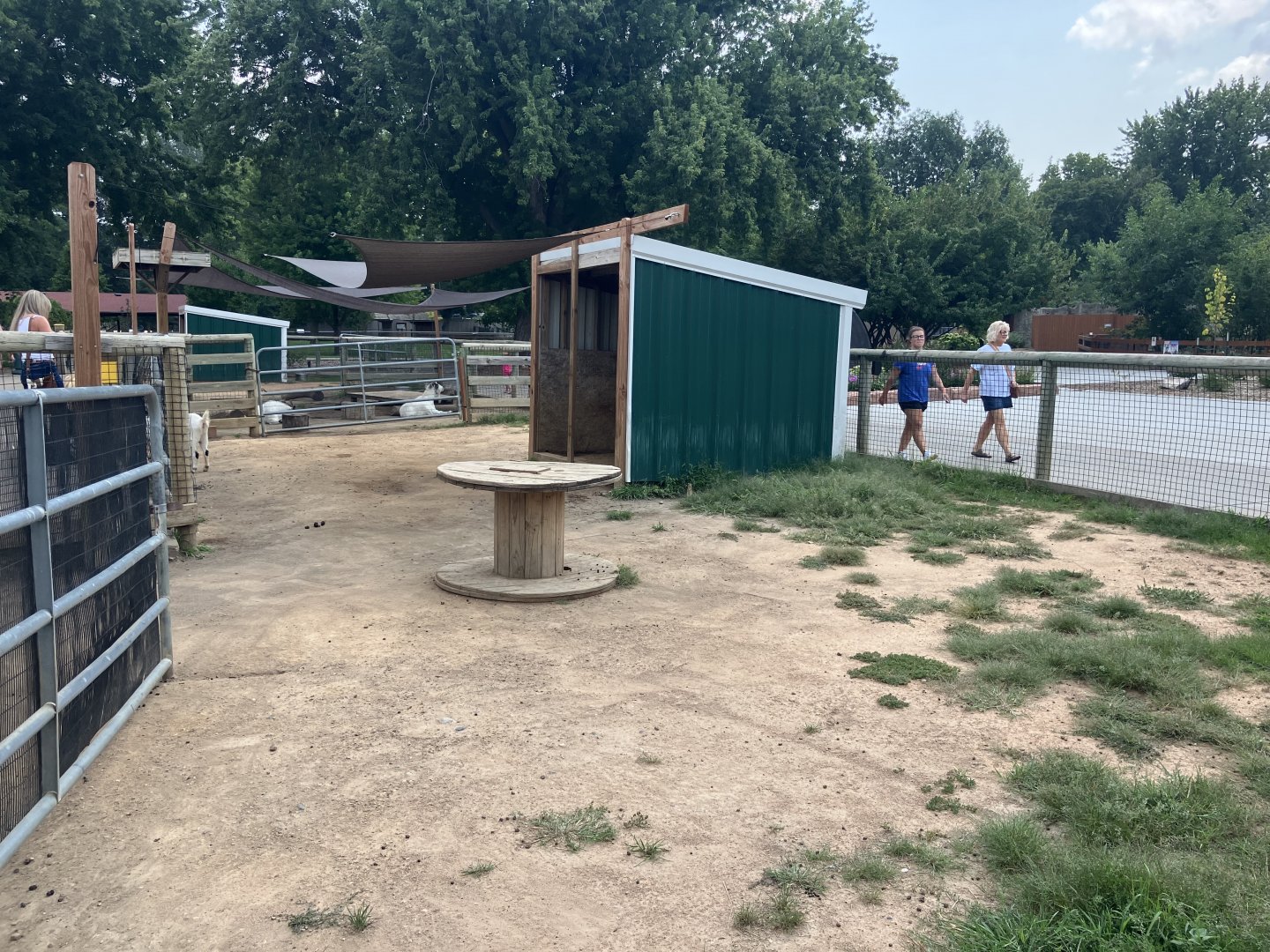 Face-to-Face Farm - Domestic Goat Exhibit