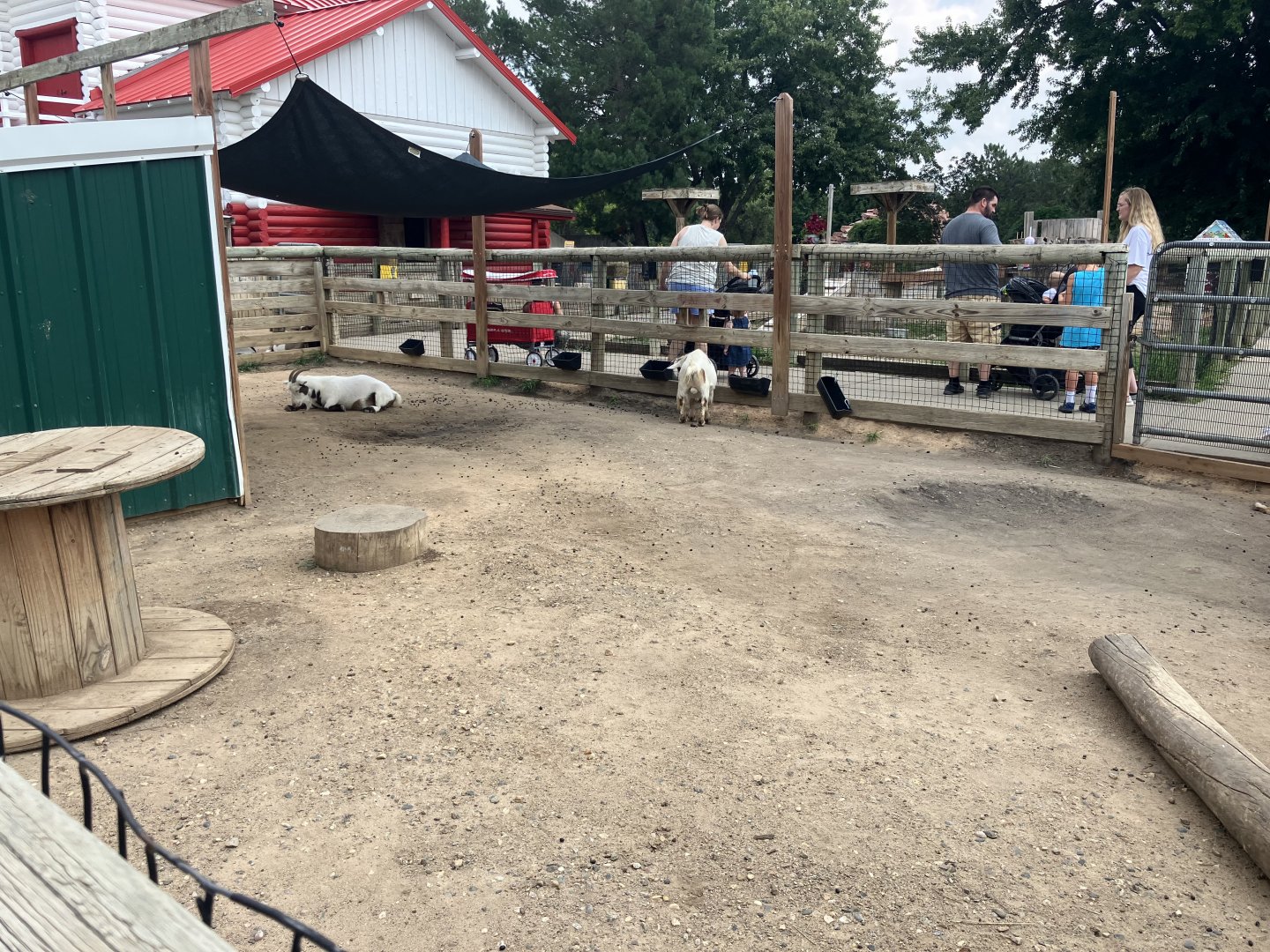 Face-to-Face Farm - Domestic Goat Exhibit