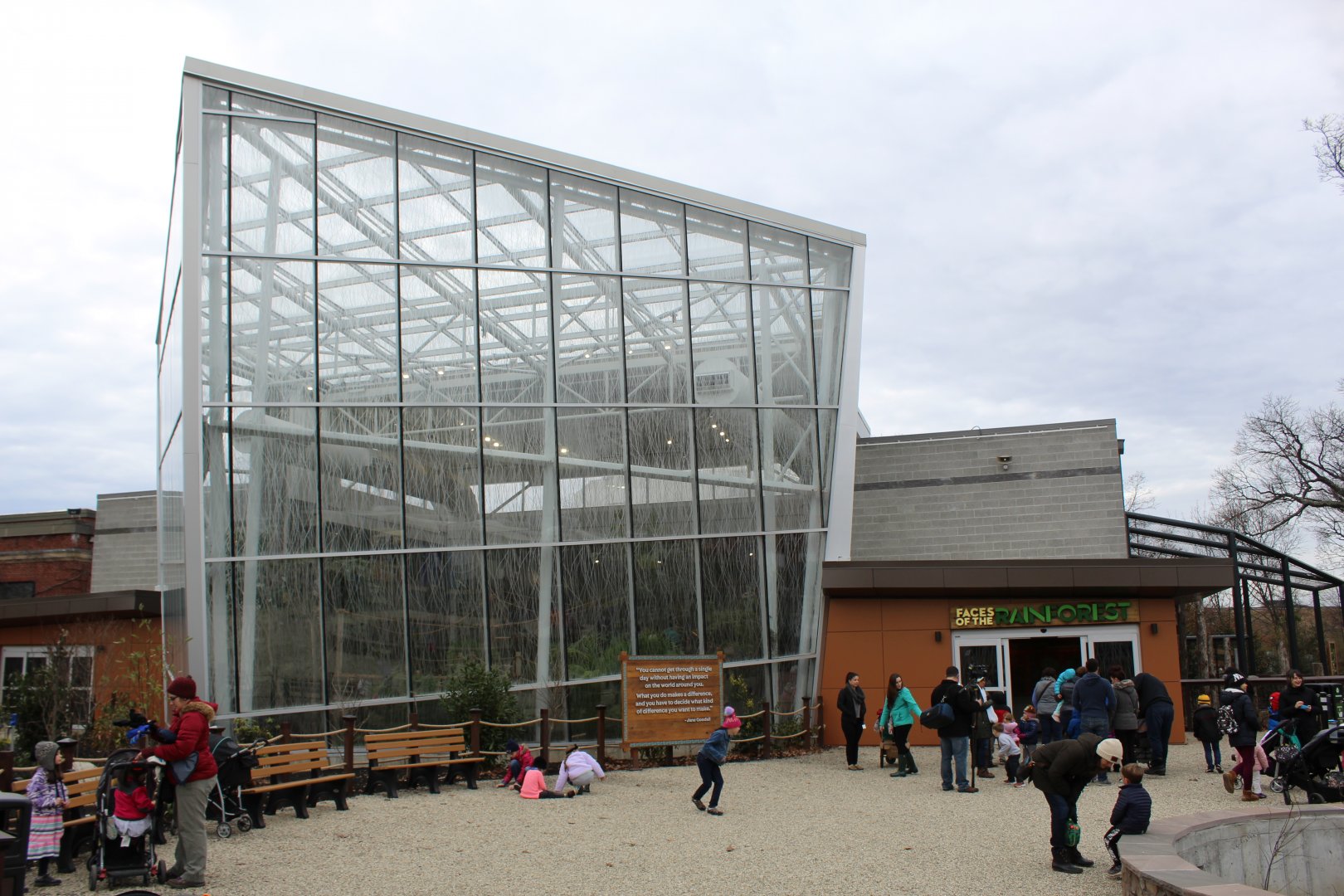 Faces of the Rainforest