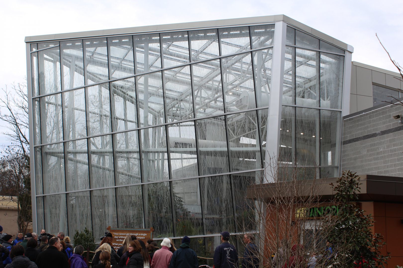 Faces of the Rainforest