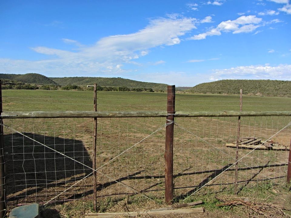 Facilities at Cape Buffalo Breeding Centre
