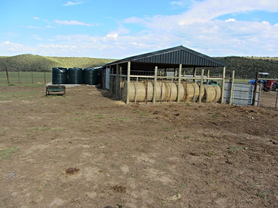 Facilities at Cape Buffalo Breeding Centre