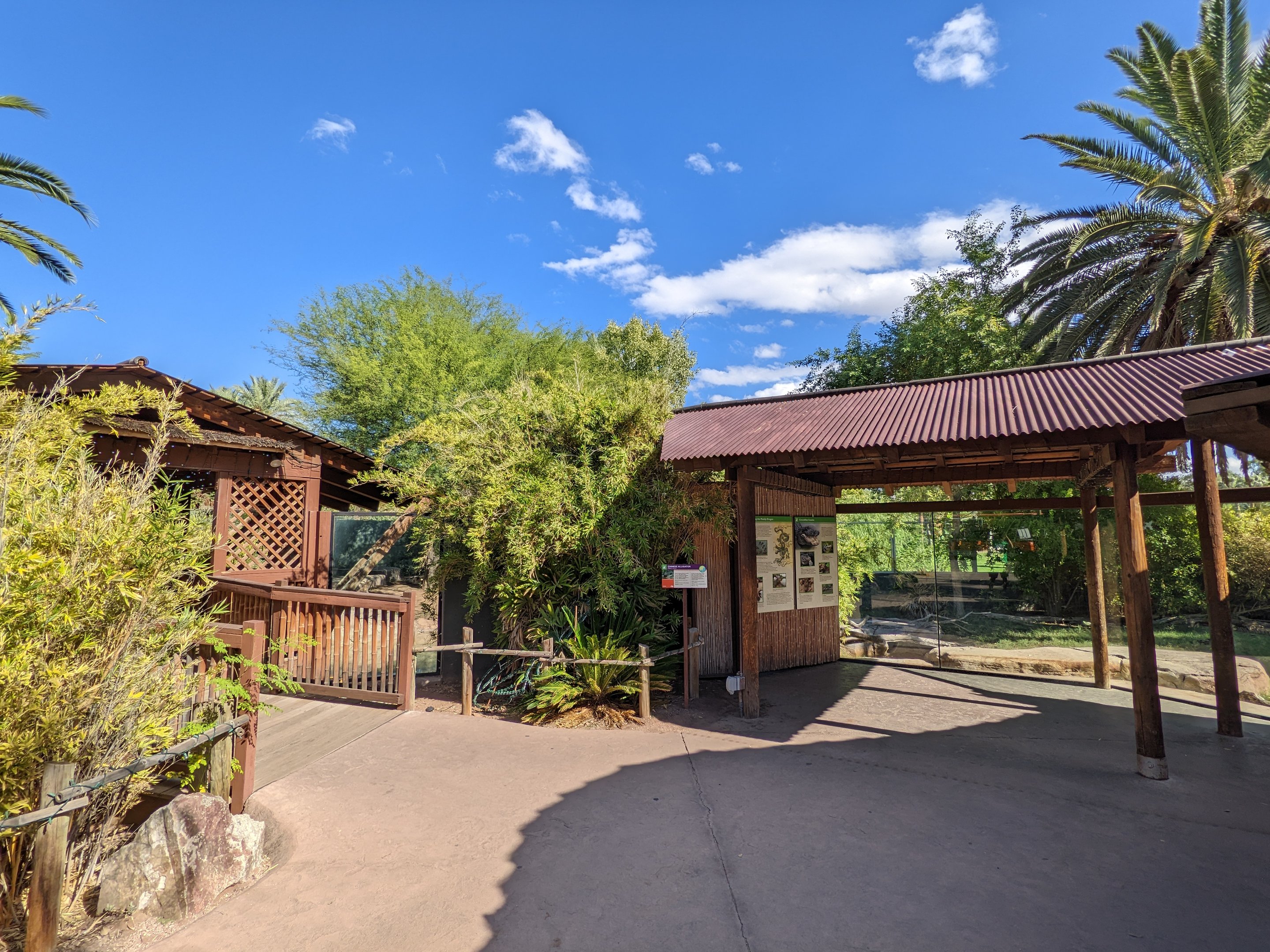 Facing komodo dragon and Chinese alligator