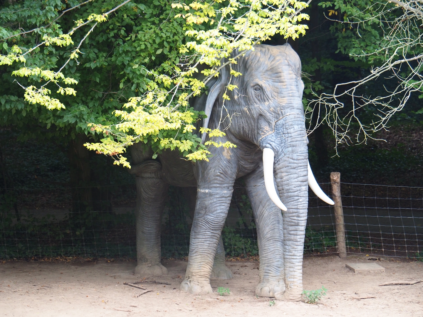 Fake African elephant - Just why? (Aug 28th, 2018)