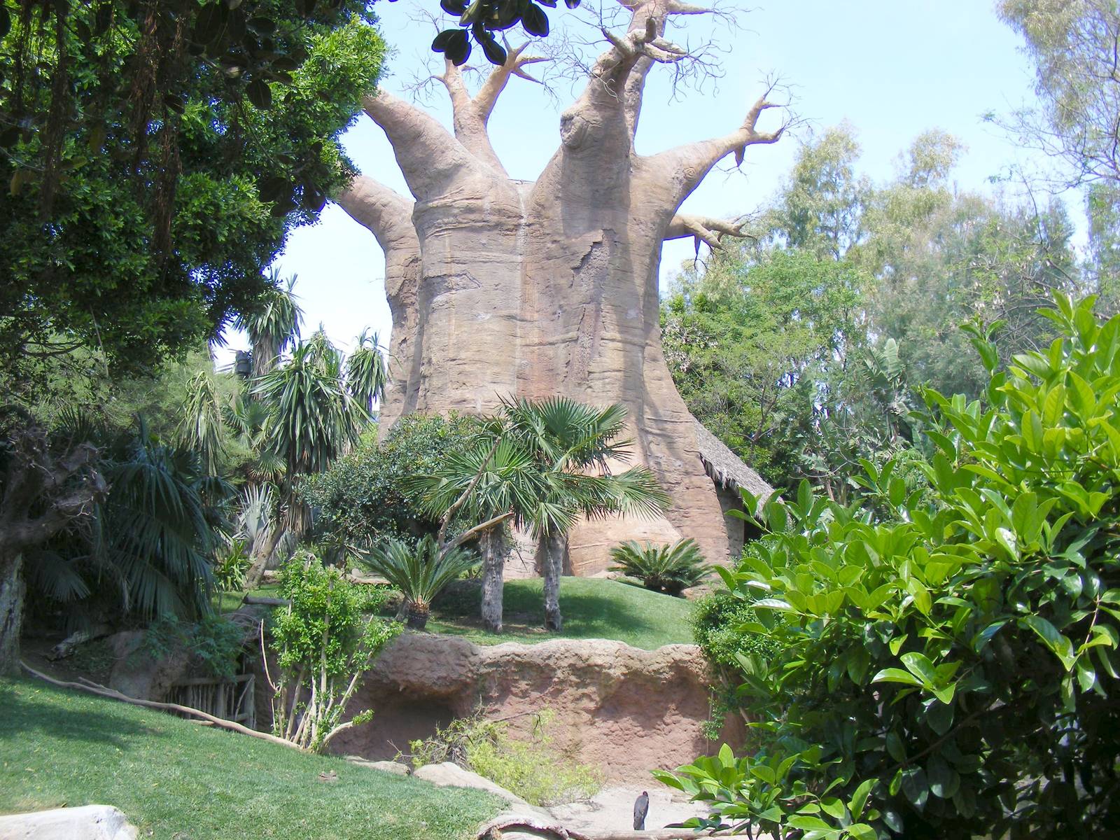 Fake Baobab tree in lemur enclosure at Fuengirola Zoo, 30 April 2009