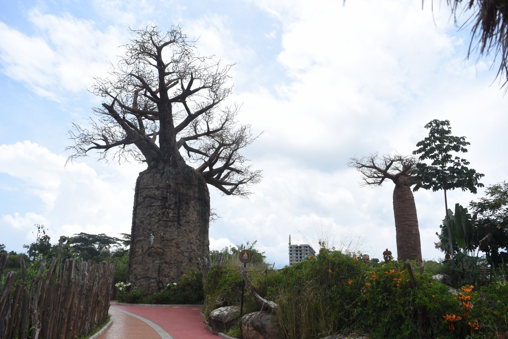 Fake baobab trees