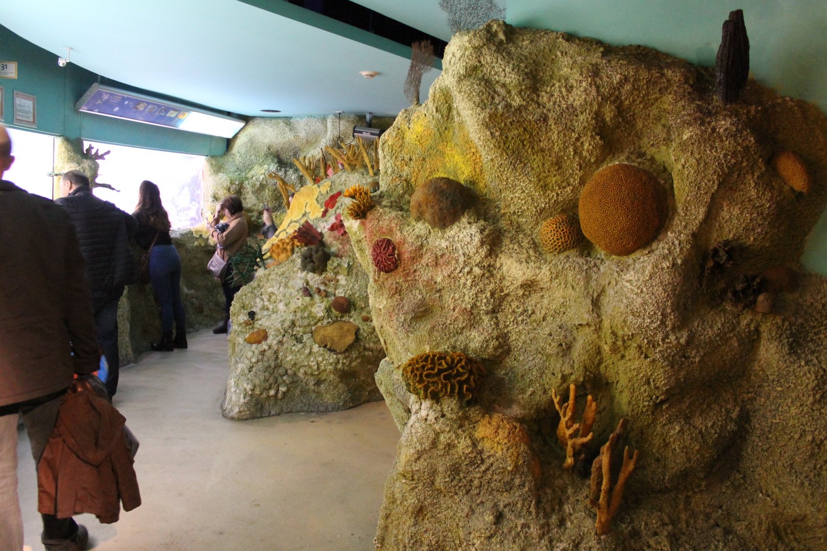 Fake coral in Coral-room