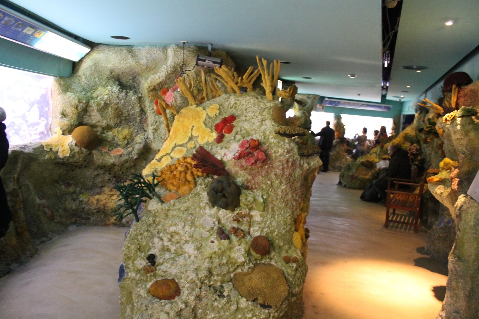 Fake-coral in Coral room