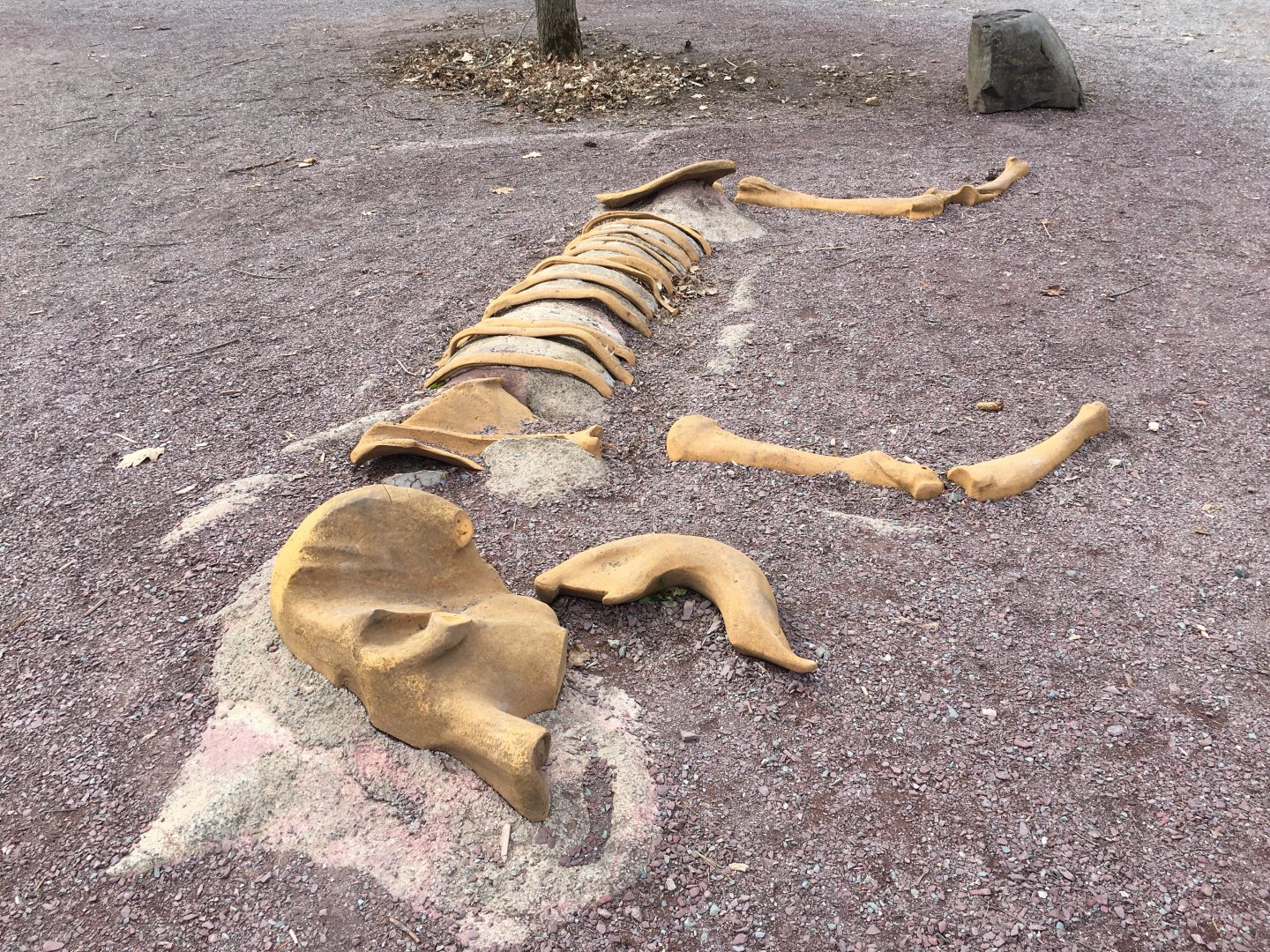 Fake Elephant Skeleton