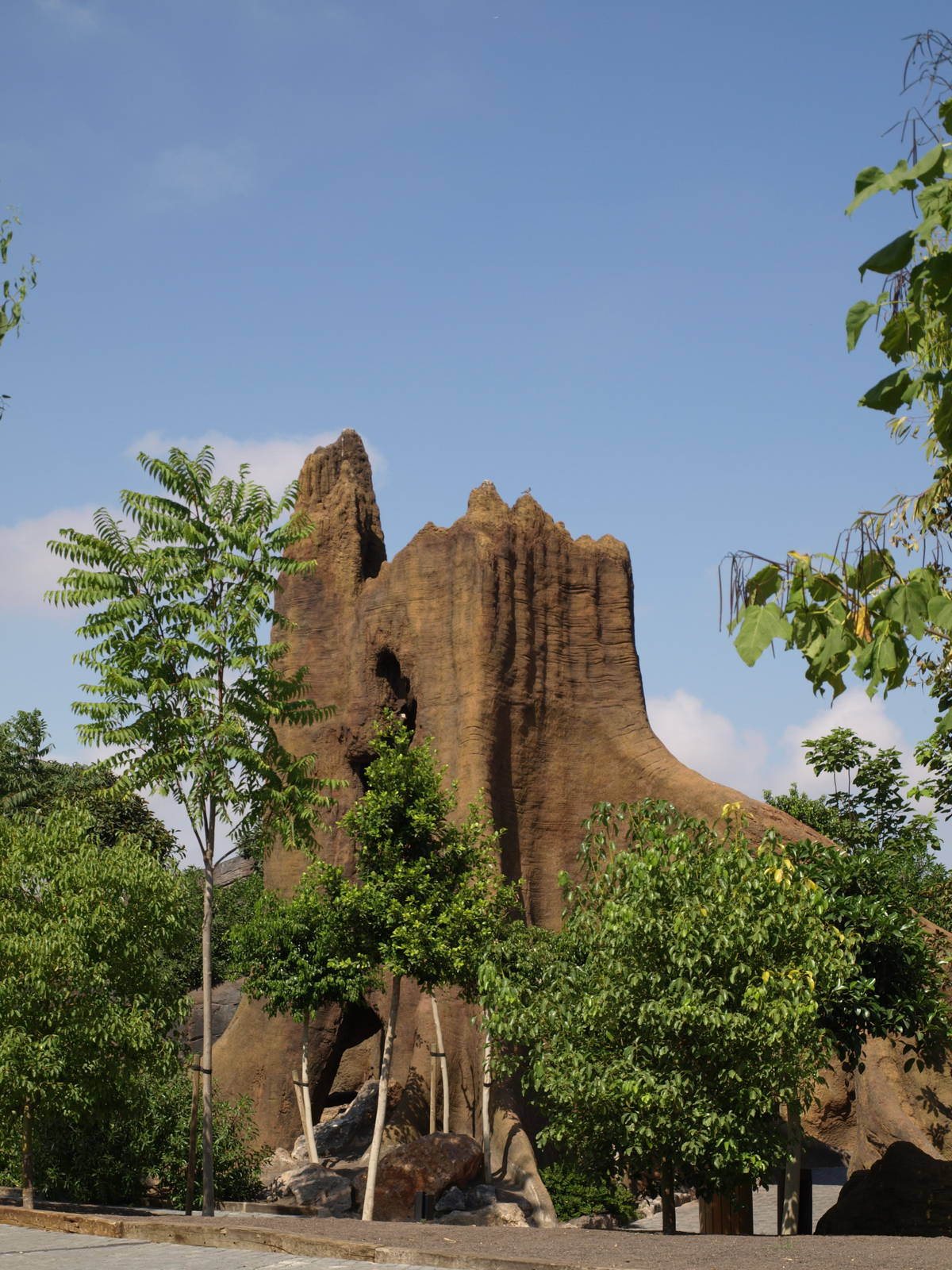 Fake hollow trunk viewing