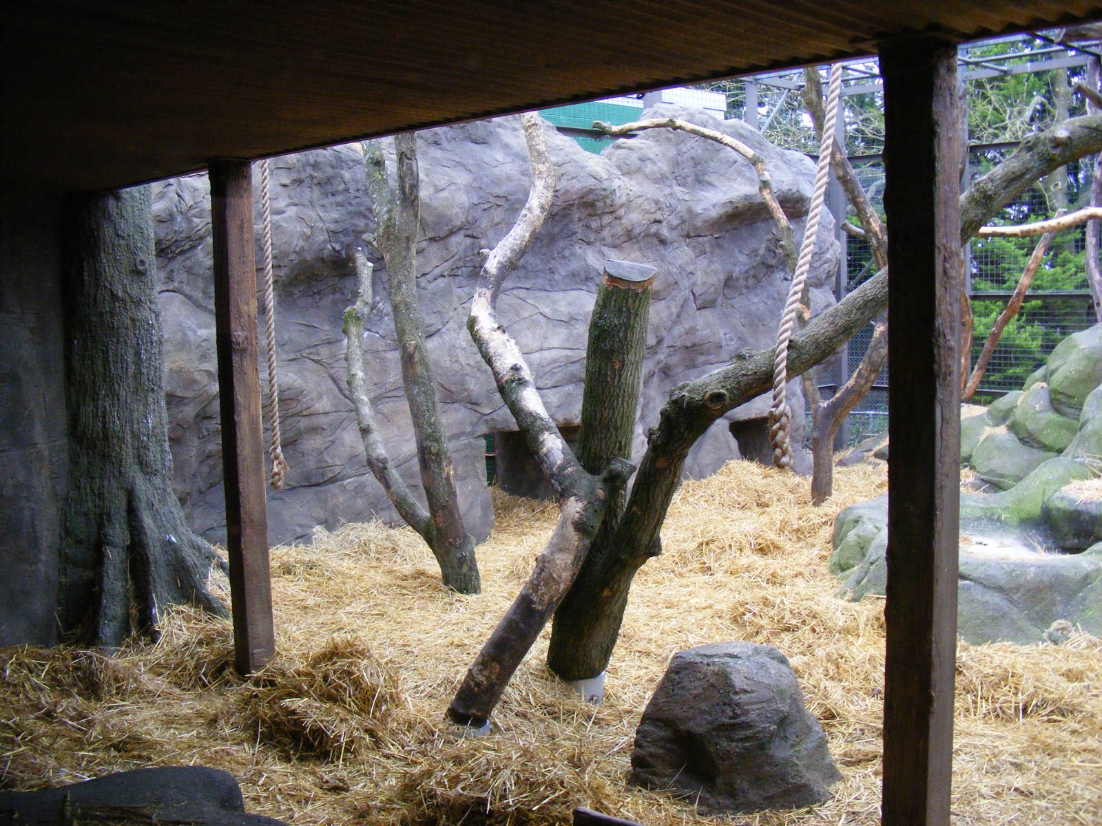 Fake rock work on gorilla enclosure at Chessington Zoo, 6 February 2011