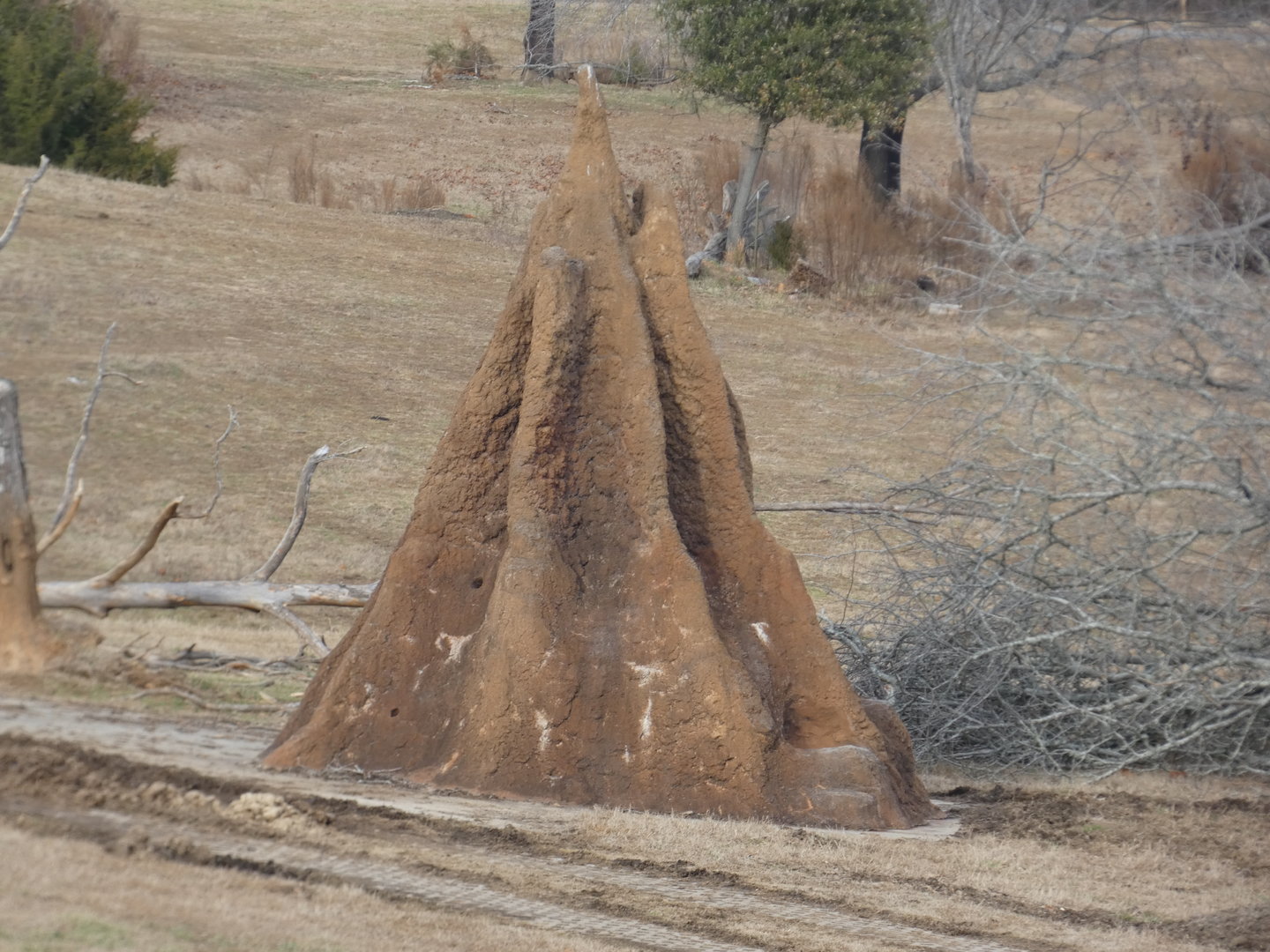 Fake termite mound 1