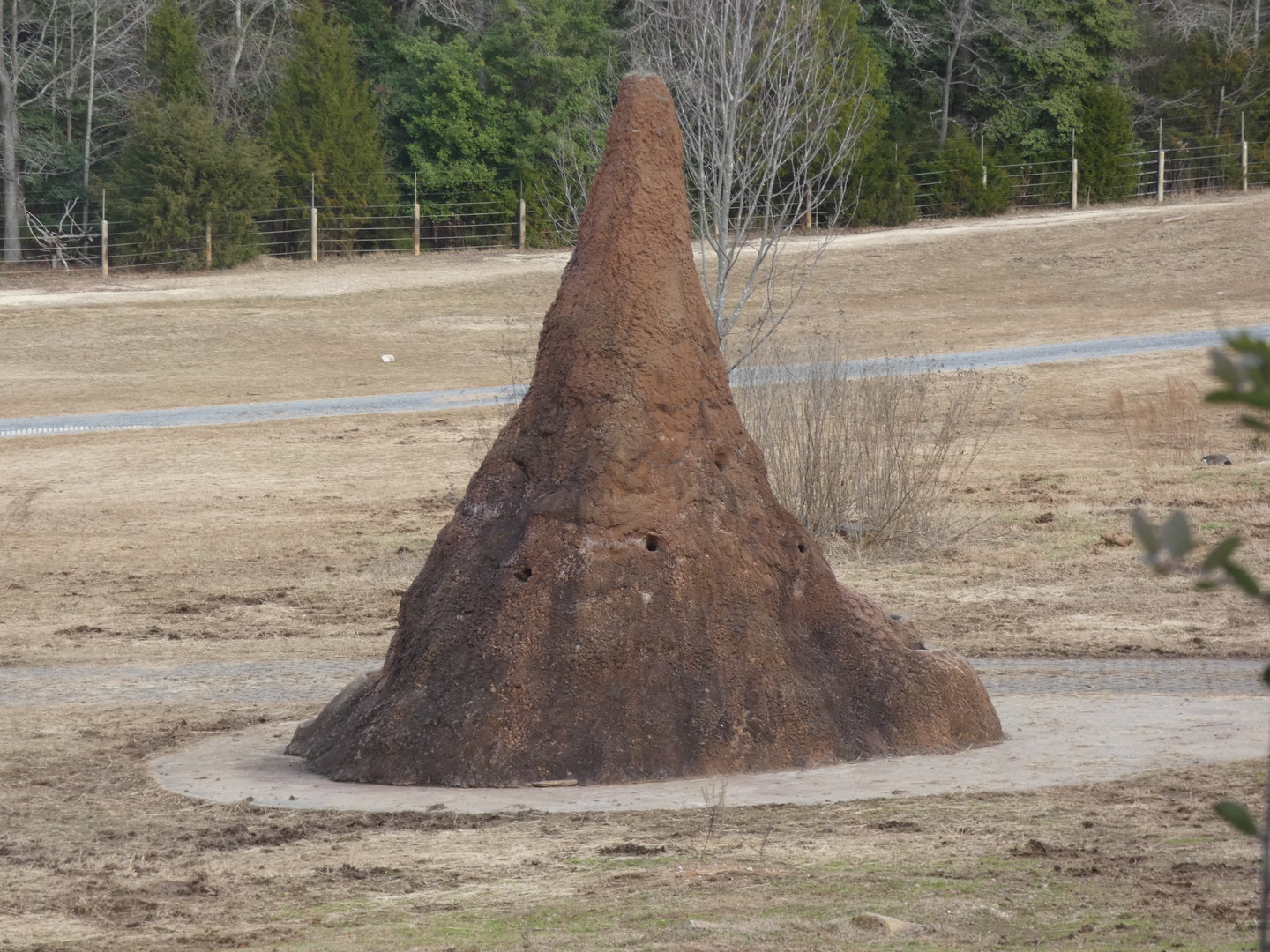 Fake termite mound 2