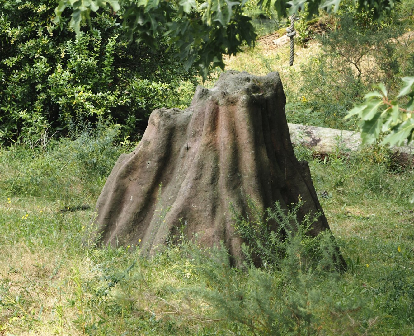 Fake termite mount on the bonobo island, 2024-08-18