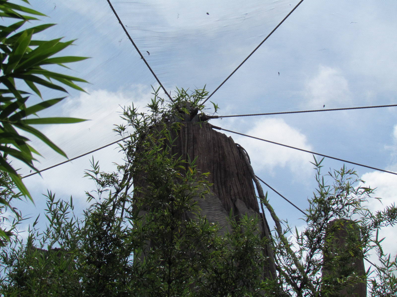 Fake Tree Holding Up Netting