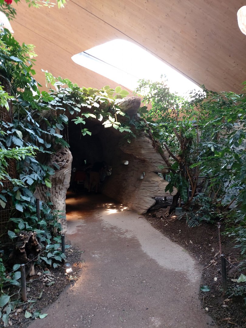 Fake tree tunnel that houses different small species like Javan chevrotain or Bali myna (July 2020)