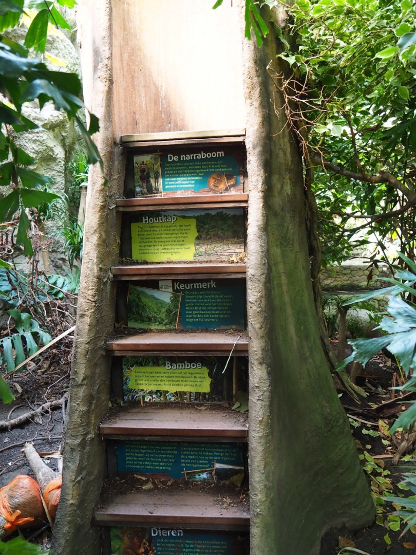 Fake tree with steps and information signs (Sep 2nd, 2018)