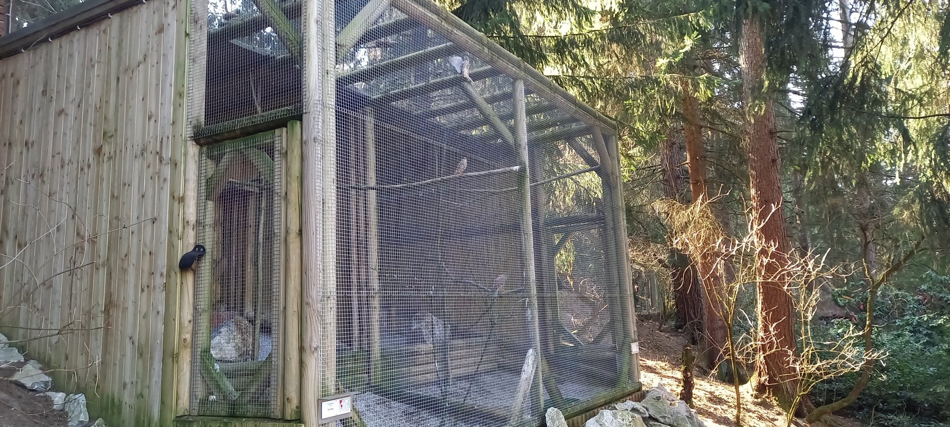 Falcon-aviaries