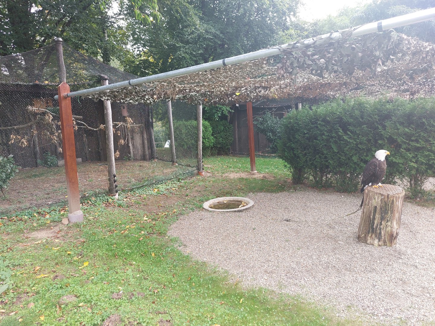 Falconry centre